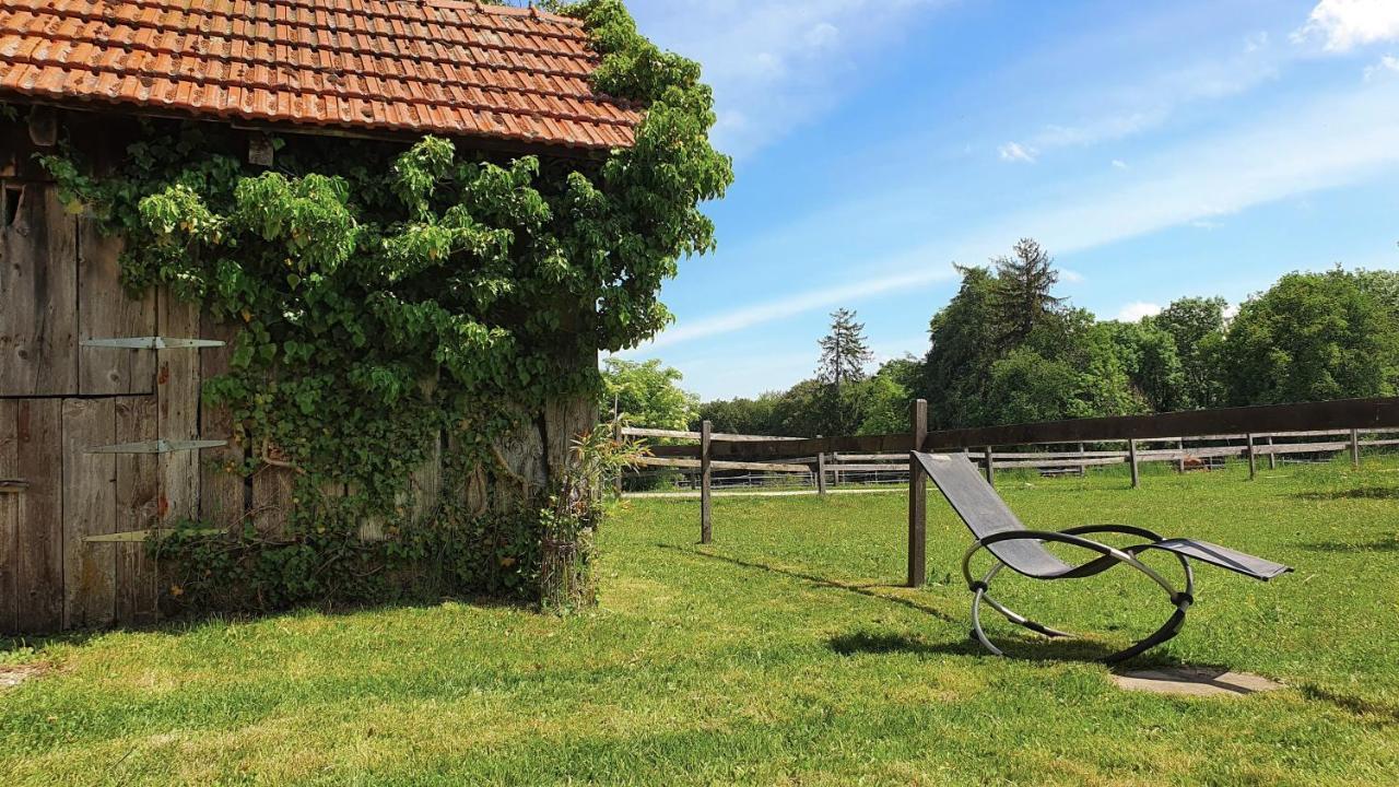 Guesthouse La Moliere, 3 Bedrooms, Private House, Horse Farm, Full Nature Murist Exterior foto